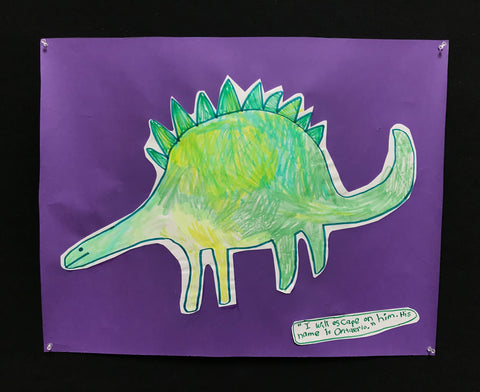 Animals 080