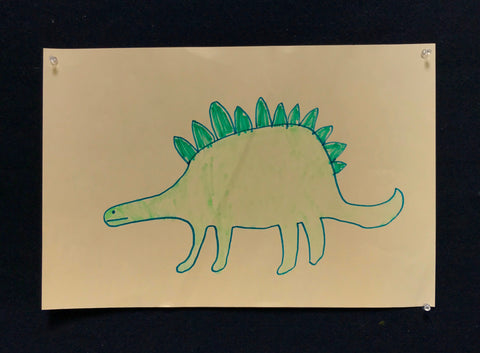 Animals 081