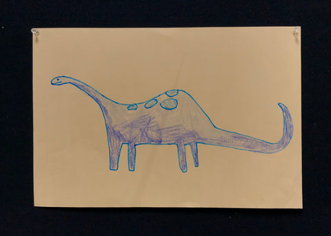 Animals 082