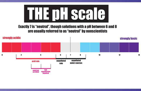 Graphic 113