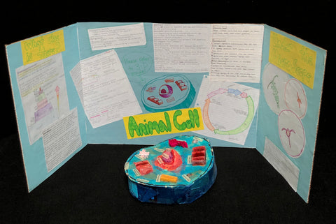 Science Fair 043 A/B (2 items)