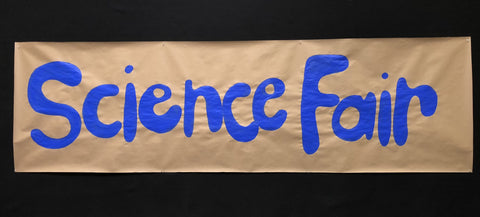 Science Fair 027 BB