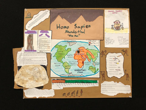 Social Studies 008