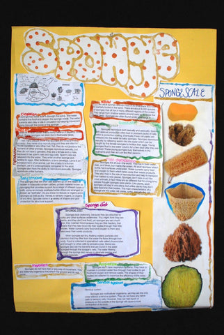 Sciences 077