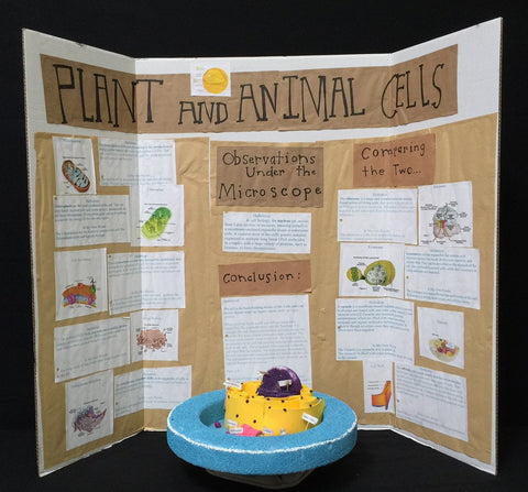 Science Fair 004 A/B  (2 items)