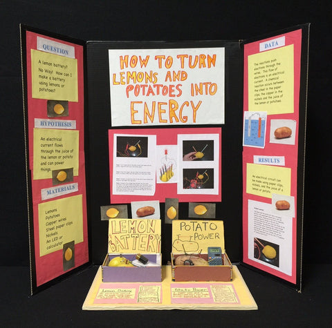 Science Fair 009 A/B (2 items)