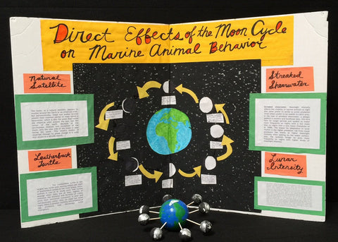 Science Fair 017 A/B (2 items)