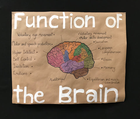 Sciences 211